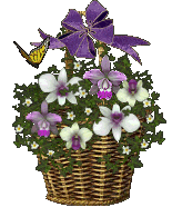 Send a Blooming Basket